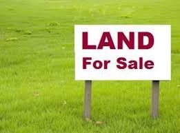 develop your land